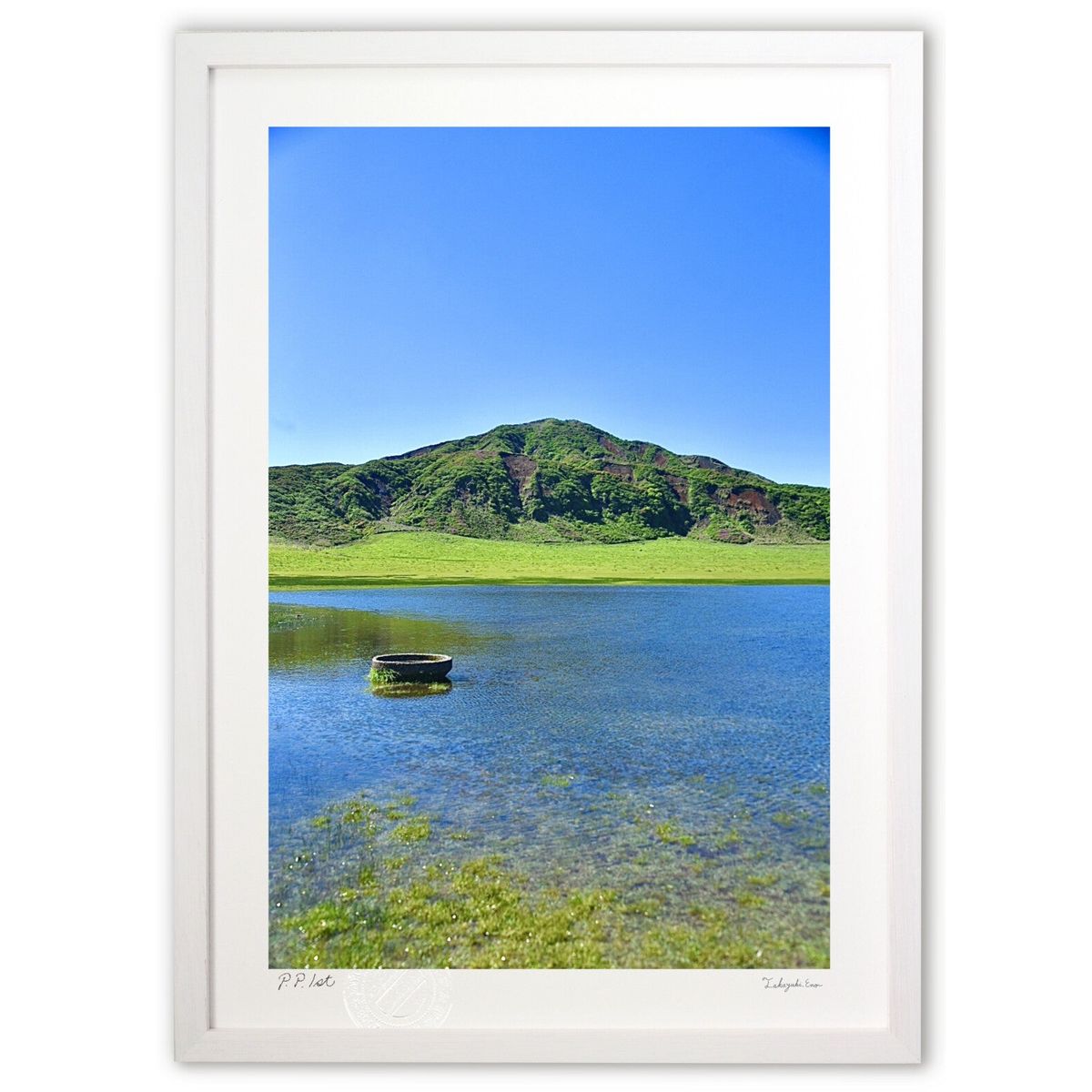 ڥѡSALEȾۡǲ ˹ҳ٤į (mitan)ƥꥢ ɳݤ  ʲ ݥ  ӥ ؤ˾  ץ쥼 ...