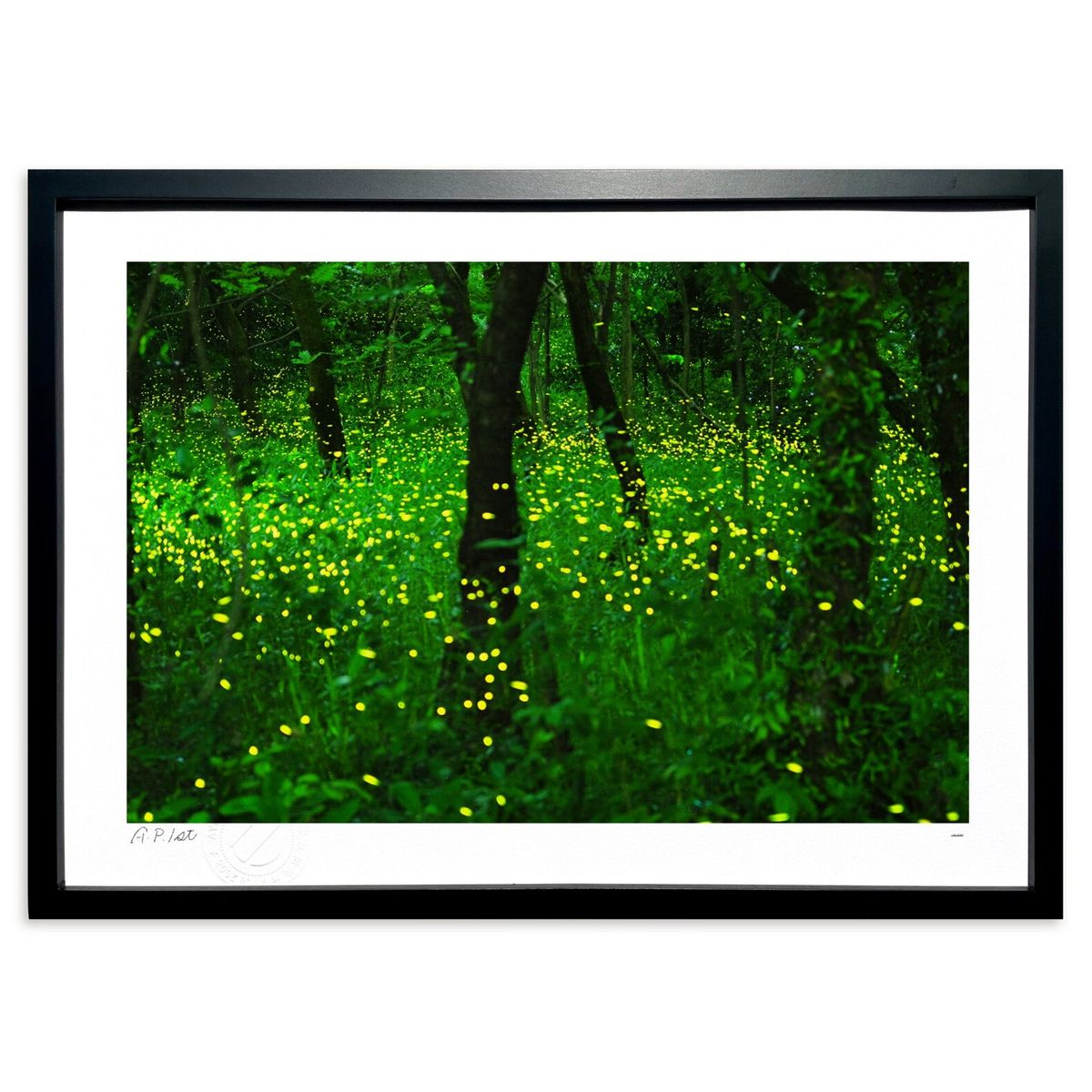 ڥѡSALEȾۡǲ ҥܥ (Ϥˤۤؤ)ƥꥢ ɳݤ  ʲ ݥ  ӥ ؤ˾  ץ쥼 ...