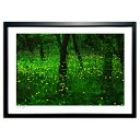 【スーパーSALE半額】版画 ヒメボタル飛ぶ (いろはにほへと)インテリア 壁掛け 額入り 風景画 ポスター アート リビング 玄関に飾る 風水 プレゼント モ...