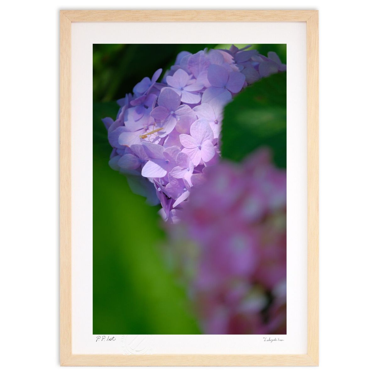 ڥѡSALEȾۡǲ ֤󥫥ޥڱΥ (ɼ)ƥꥢ ɳݤ  ʲ ݥ  ӥ ؤ˾  ץ쥼...