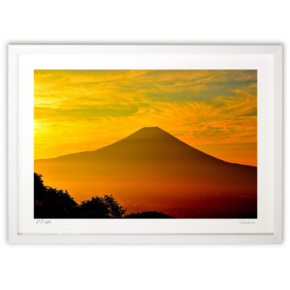 ڥѡSALEȾۡǲ īƤٻλ (YKANEKO)ƥꥢ ɳݤ  ʲ ݥ  ӥ ؤ˾  ץ쥼 ...