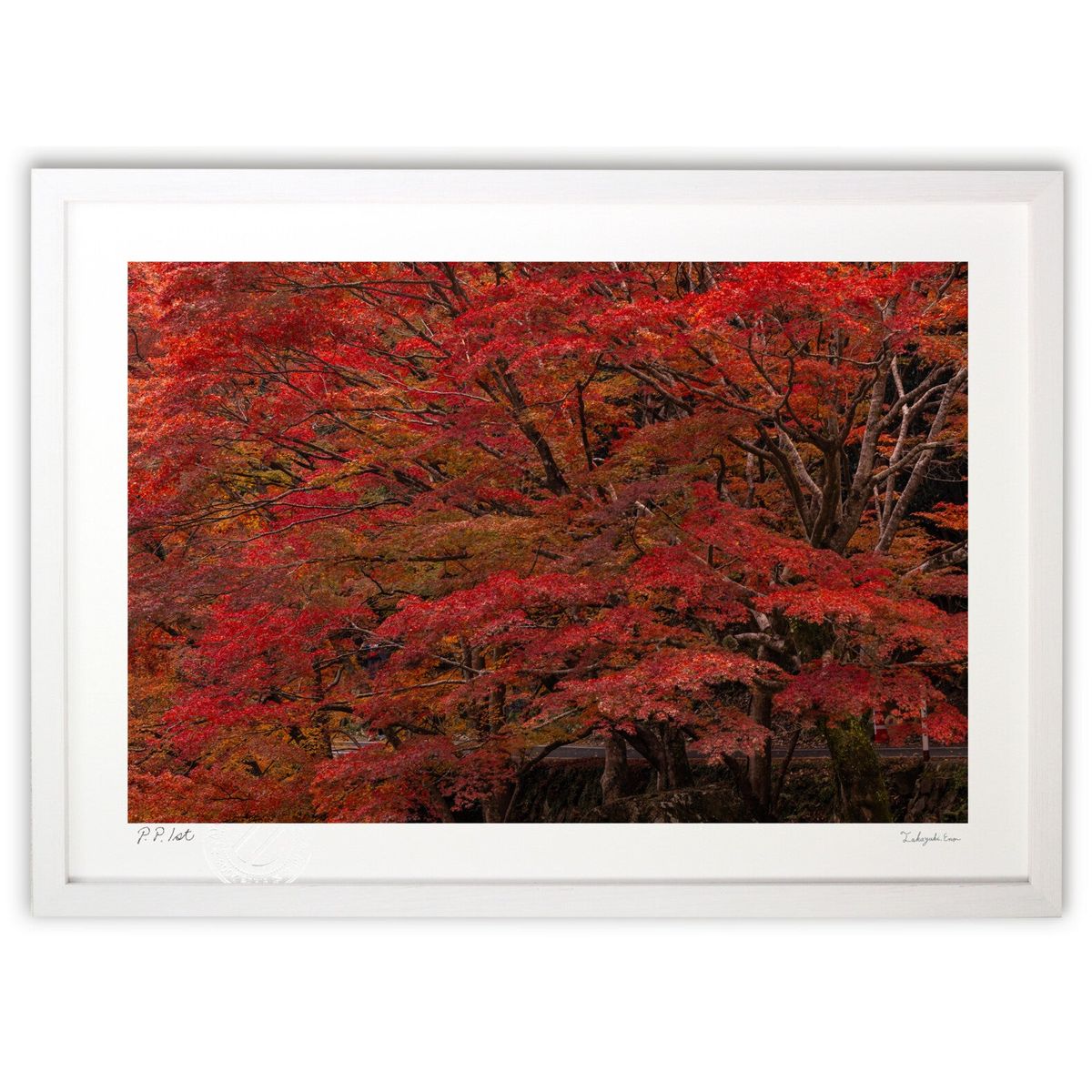 ڥѡSALEȾۡǲ ̿ǳ褦ʹ (magicalphoto)