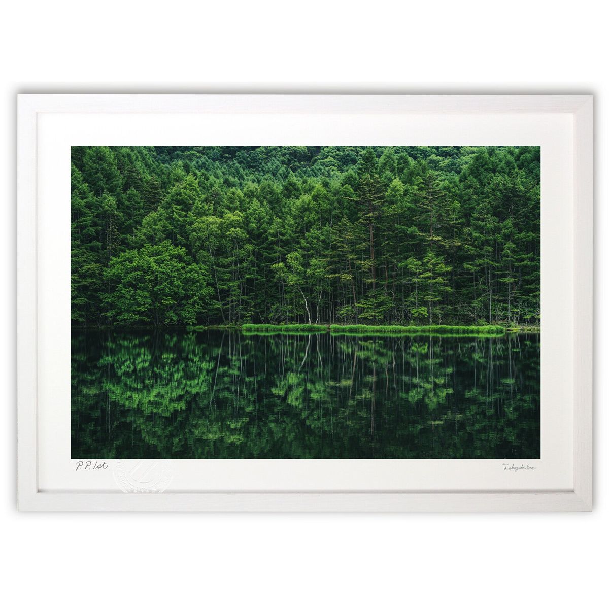 ڥѡSALEȾۡǲ Фȿž (yam.kzt)ƥꥢ ɳݤ  ʲ ݥ  ӥ ؤ˾  ץ쥼 ...