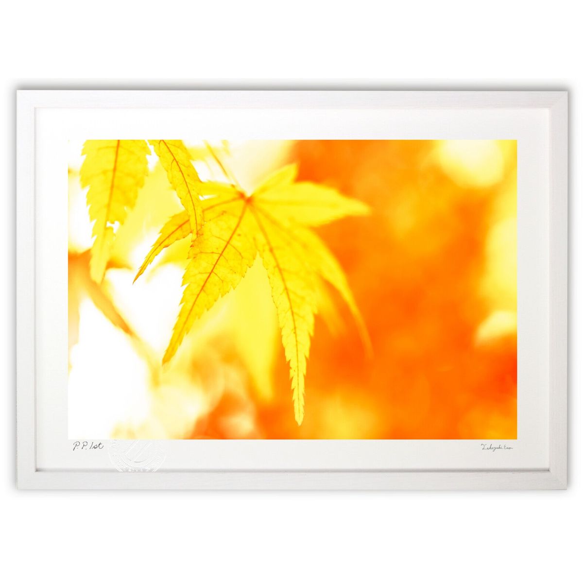 ڥѡSALEȾۡǲ ̿ʡβߥ (magicalphoto)