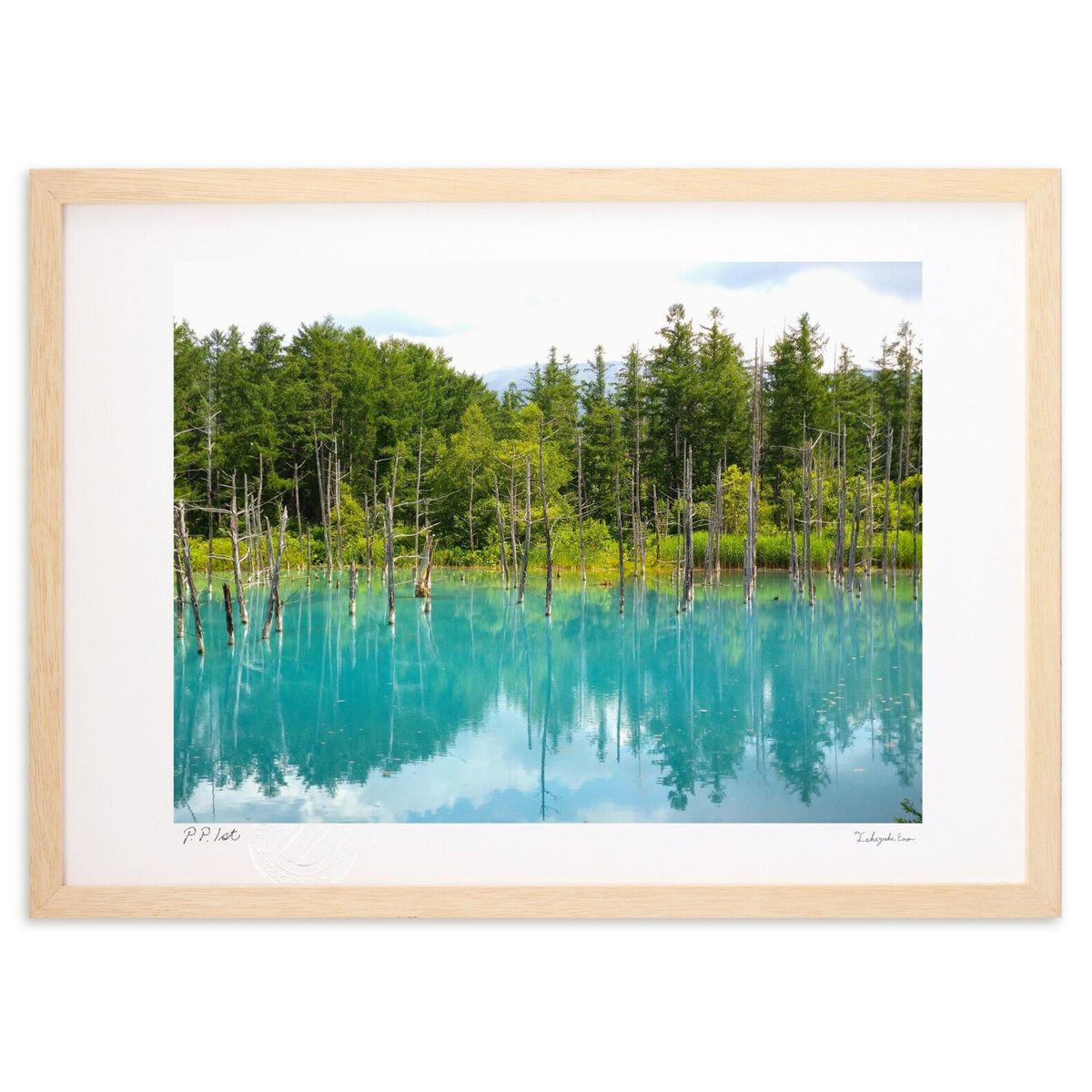 ڥѡSALEȾۡǲ  (ΡХ˥)ƥꥢ ɳݤ  ʲ ݥ  ӥ ؤ˾  ץ쥼  ...