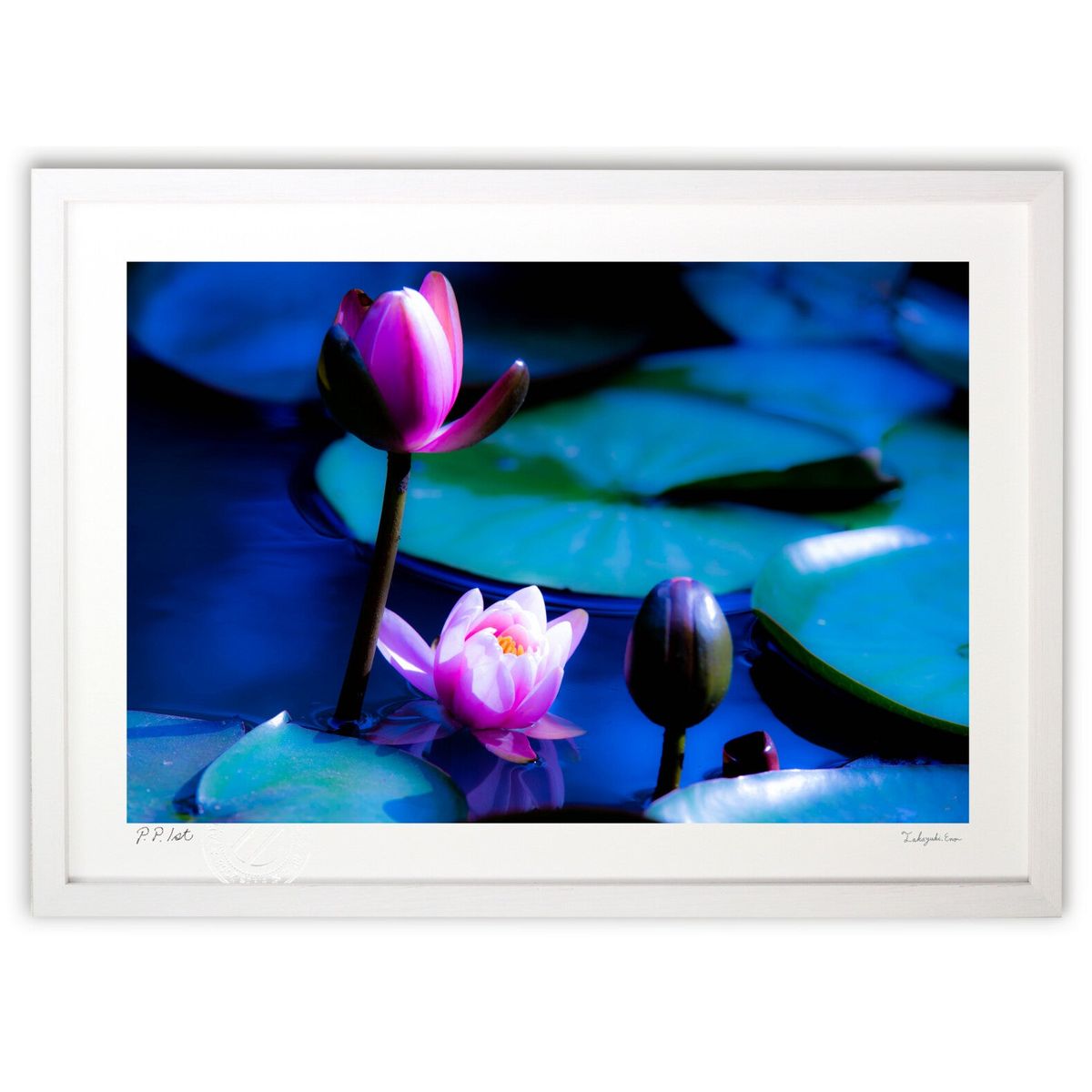 ڥѡSALEȾۡǲ ťӤǺ餯 ()ƥꥢ ɳݤ  ʲ ݥ  ӥ ؤ˾  ץ쥼 ...