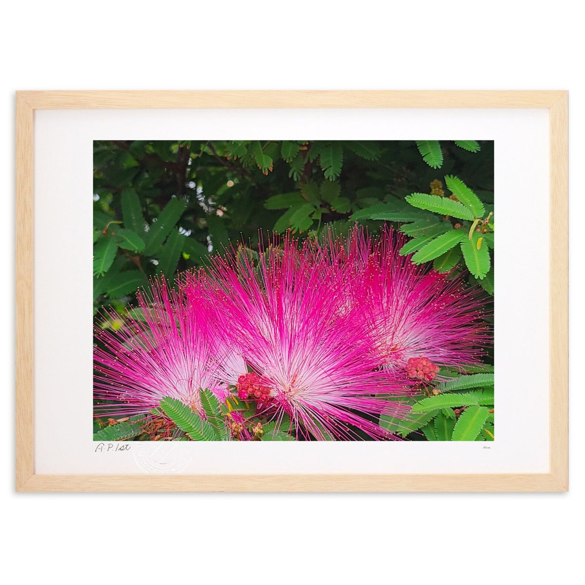 ڥѡSALEȾۡǲ 紿β֡ (okiron)ƥꥢ ɳݤ  ʲ ݥ  ӥ ؤ˾  ץ쥼  ...