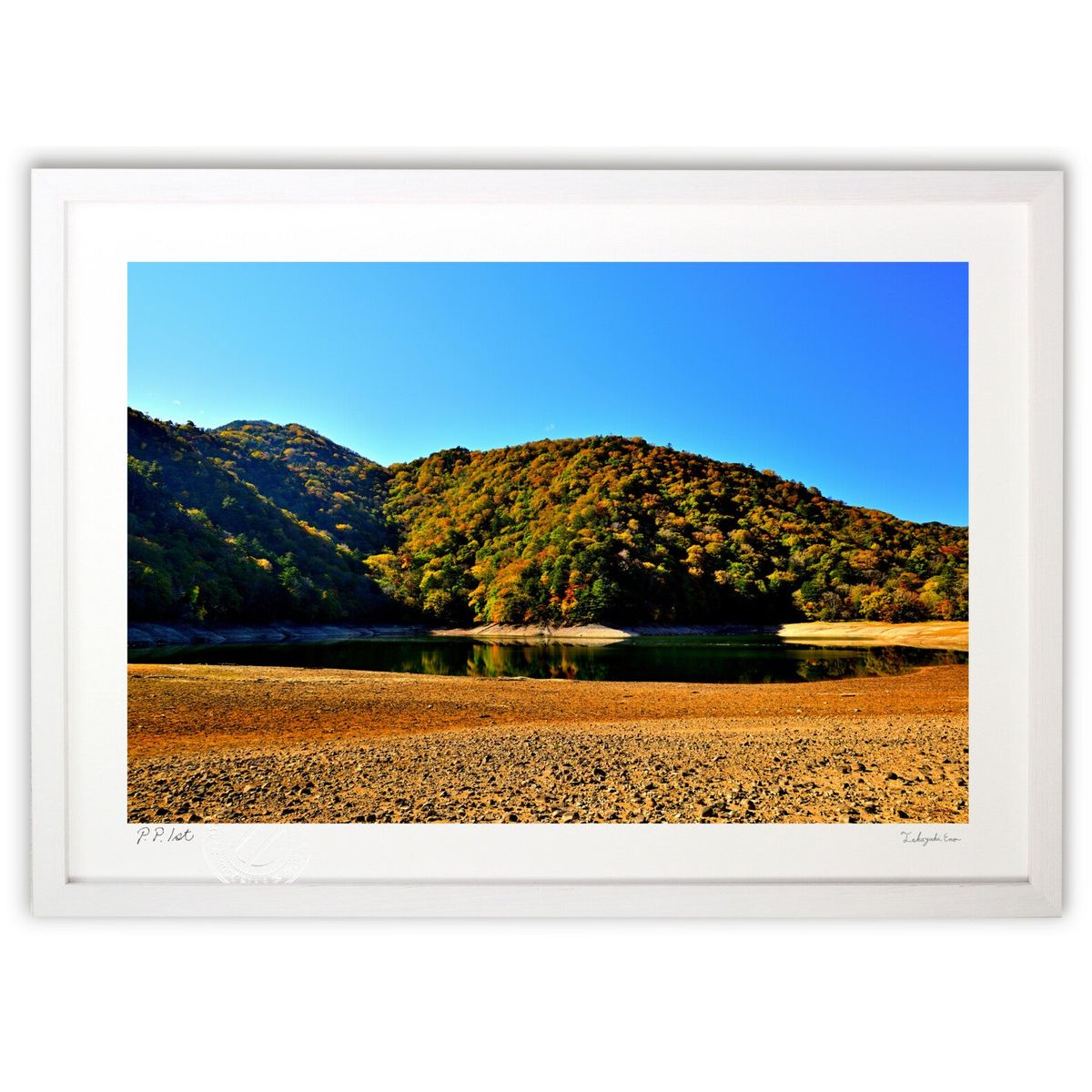 ڥѡSALEȾۡǲ θФι (YKANEKO)ƥꥢ ɳݤ  ʲ ݥ  ӥ ؤ˾  ץ쥼...