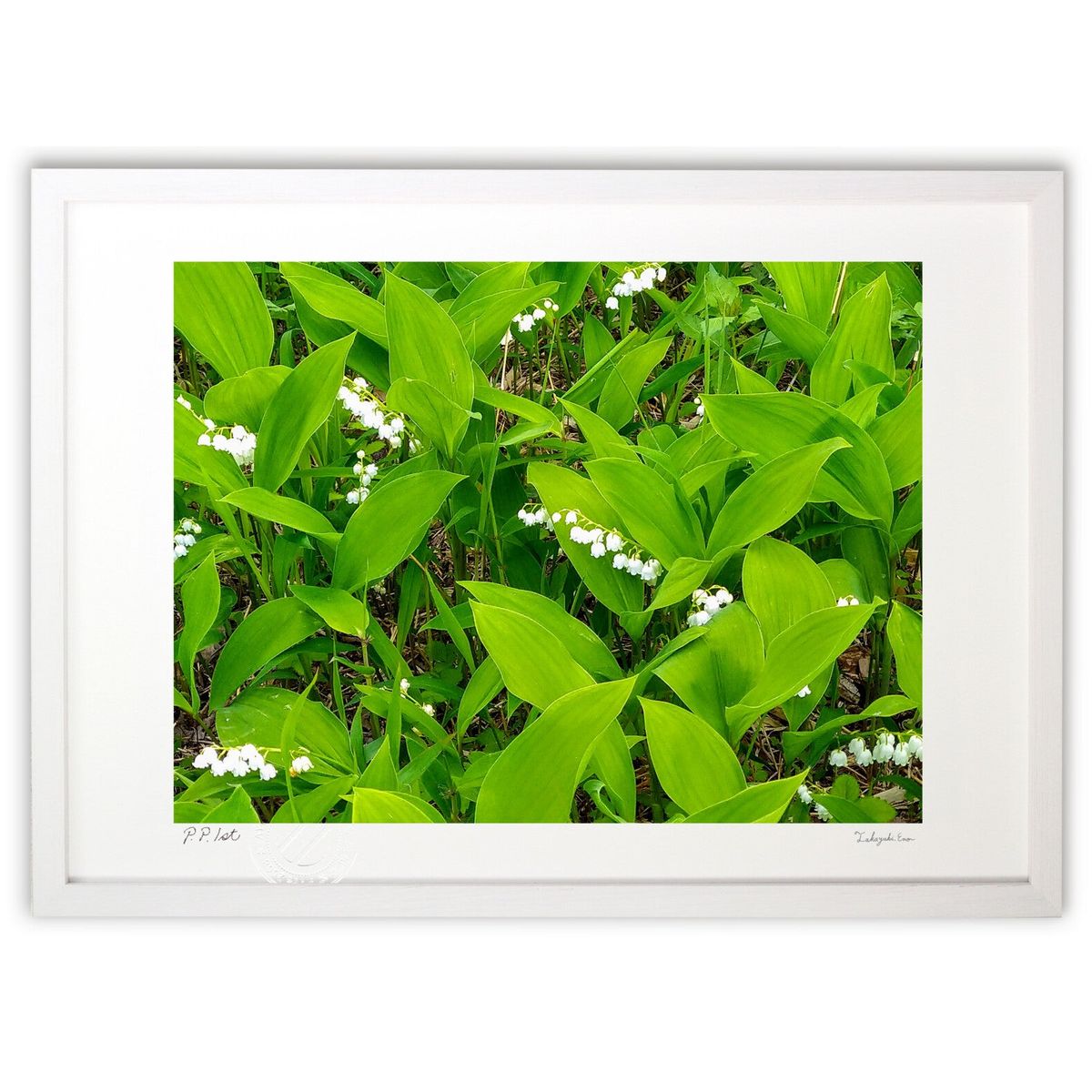 ڥѡSALEȾۡǲ  (ΡХ˥)ƥꥢ ɳݤ  ʲ ݥ  ӥ ؤ˾  ץ쥼  ...