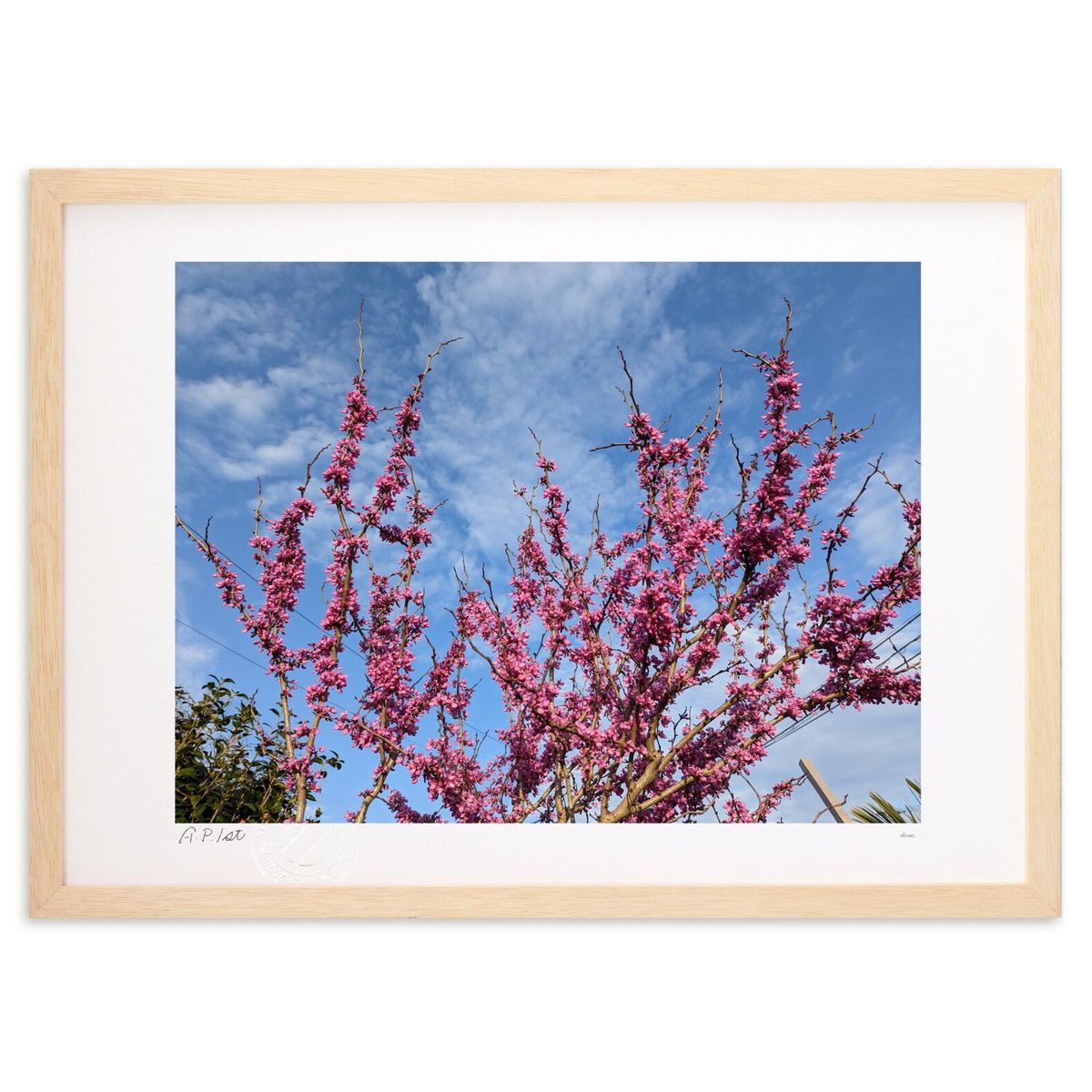 ڥѡSALEȾۡǲ Ķ˹֡ (okiron)ƥꥢ ɳݤ  ʲ ݥ  ӥ ؤ˾  ץ쥼 ...