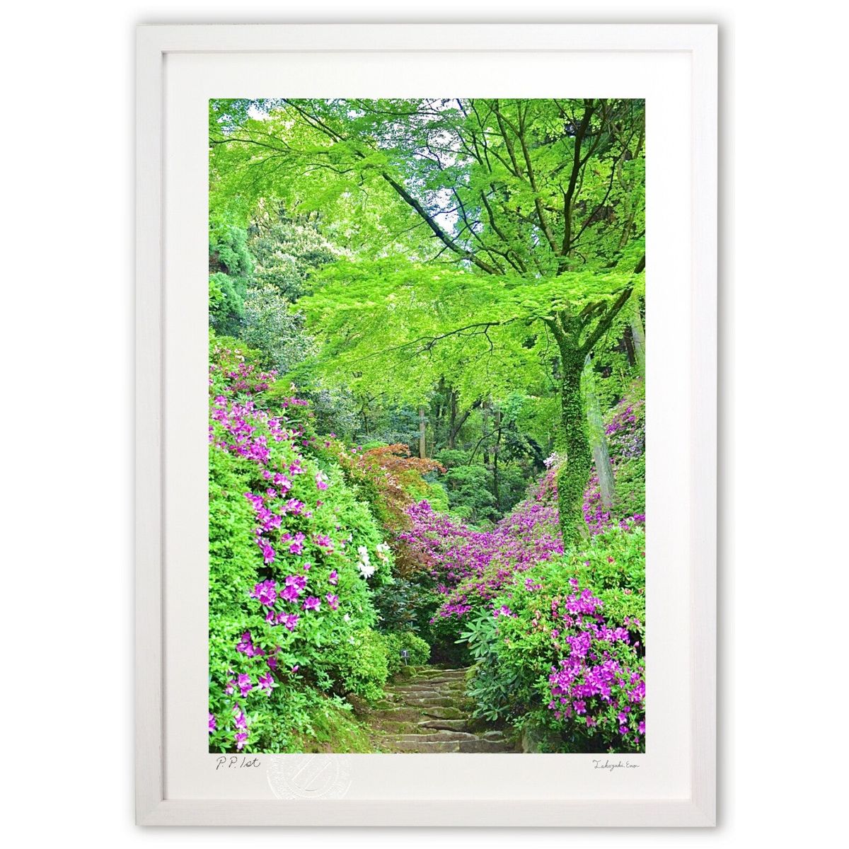 ڥѡSALEȾۡǲ ο (mitan)ƥꥢ ɳݤ  ʲ ݥ  ӥ ؤ˾  ץ쥼  ...