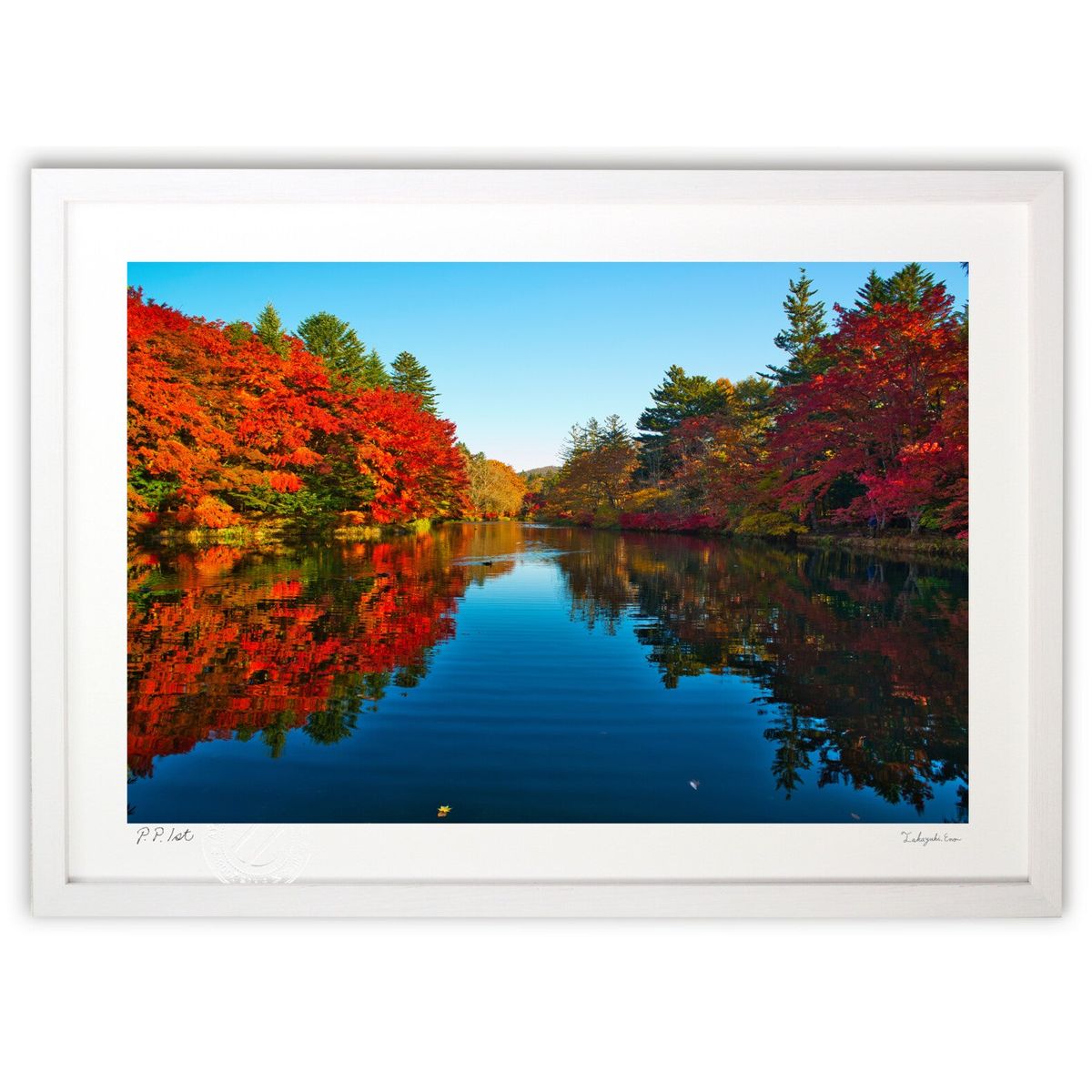 ڥѡSALEȾۡǲ ڰդα (YKANEKO)ƥꥢ ɳݤ  ʲ ݥ  ӥ ؤ˾  ץ쥼...