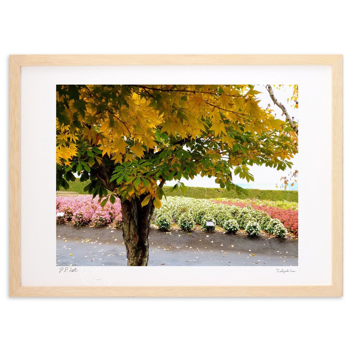 ڥѡSALEȾۡǲ βȪ (ΡХ˥)ƥꥢ ɳݤ  ʲ ݥ  ӥ ؤ˾  ץ쥼  ...