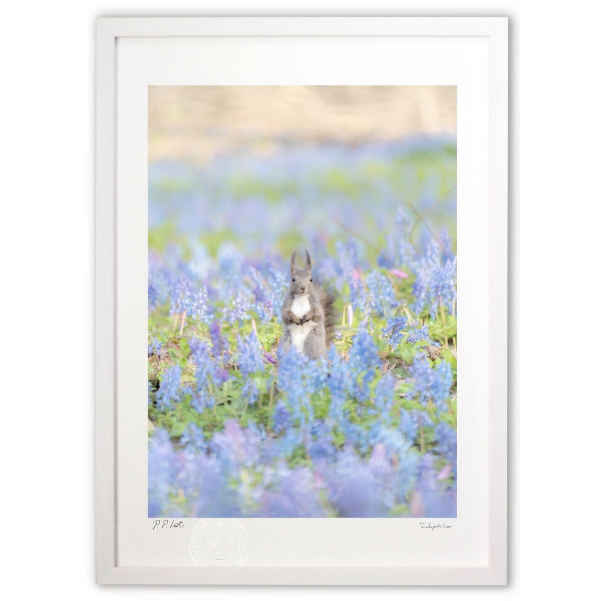 ڥѡSALEȾۡǲ ֤ȥꥹ ( )ƥꥢ ɳݤ  ʲ ݥ  ӥ ؤ˾  ץ쥼 ...