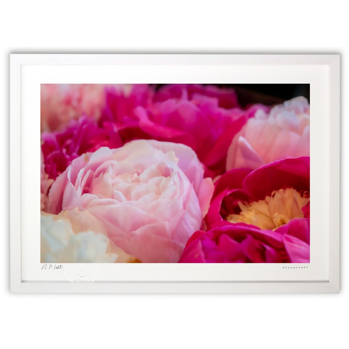 ڥѡSALEȾۡǲ ðβּ (bluewoods07)ƥꥢ ɳݤ  ʲ ݥ  ӥ ؤ˾  ץ쥼...