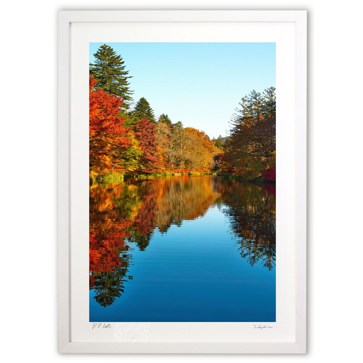 ڥѡSALEȾۡǲ ڰդα (YKANEKO)ƥꥢ ɳݤ  ʲ ݥ  ӥ ؤ˾  ץ쥼...