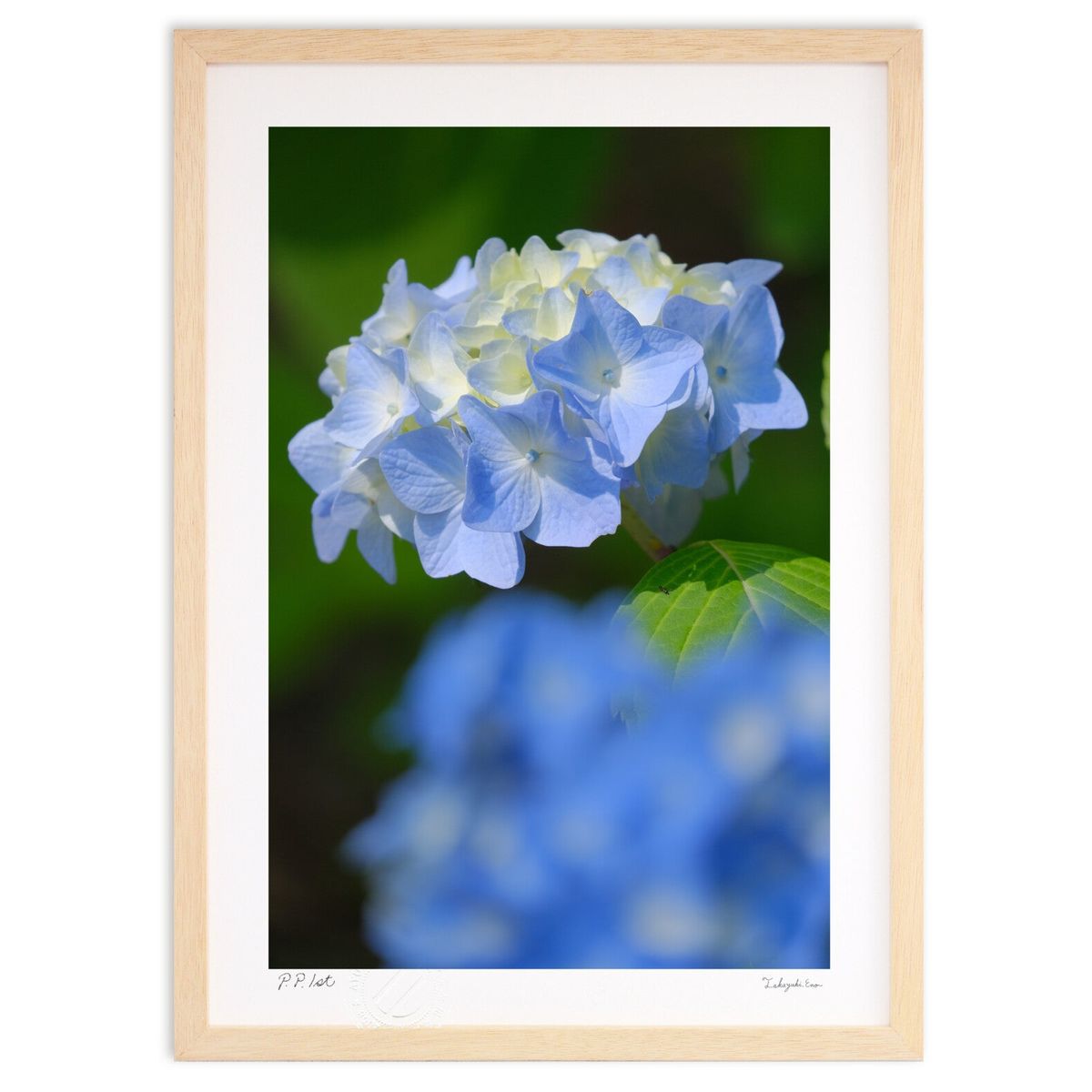 ڥѡSALEȾۡǲ Ƥλ۲ (ɼ)ƥꥢ ɳݤ  ʲ ݥ  ӥ ؤ˾  ץ쥼  ...