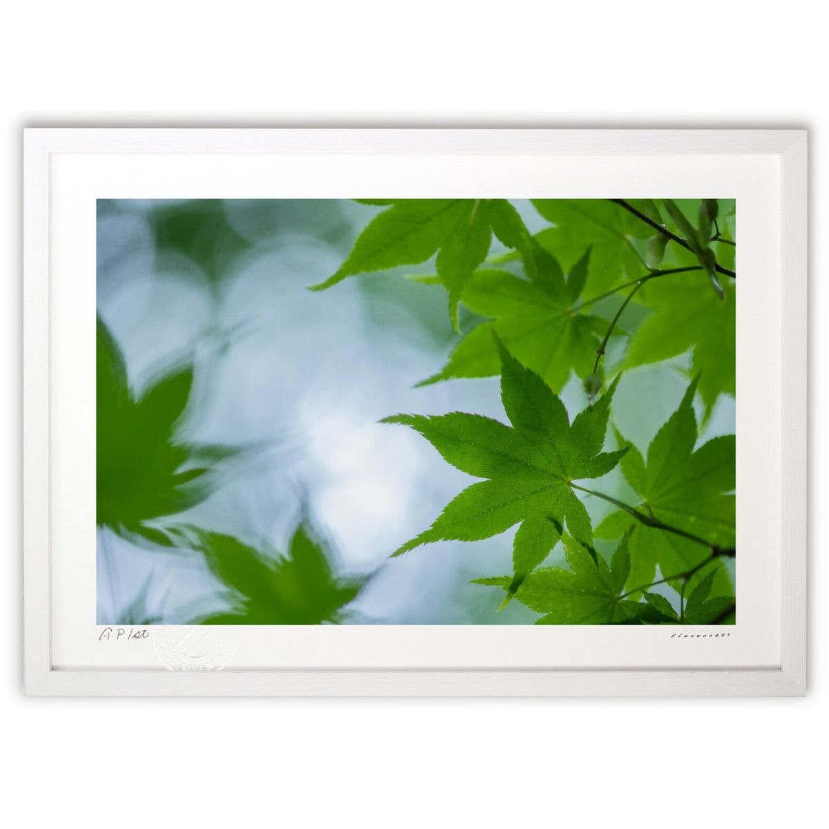 ڥѡSALEȾۡǲ ᤯ߤ (bluewoods07)ƥꥢ ɳݤ  ʲ ݥ  ӥ ؤ˾  ץ쥼...