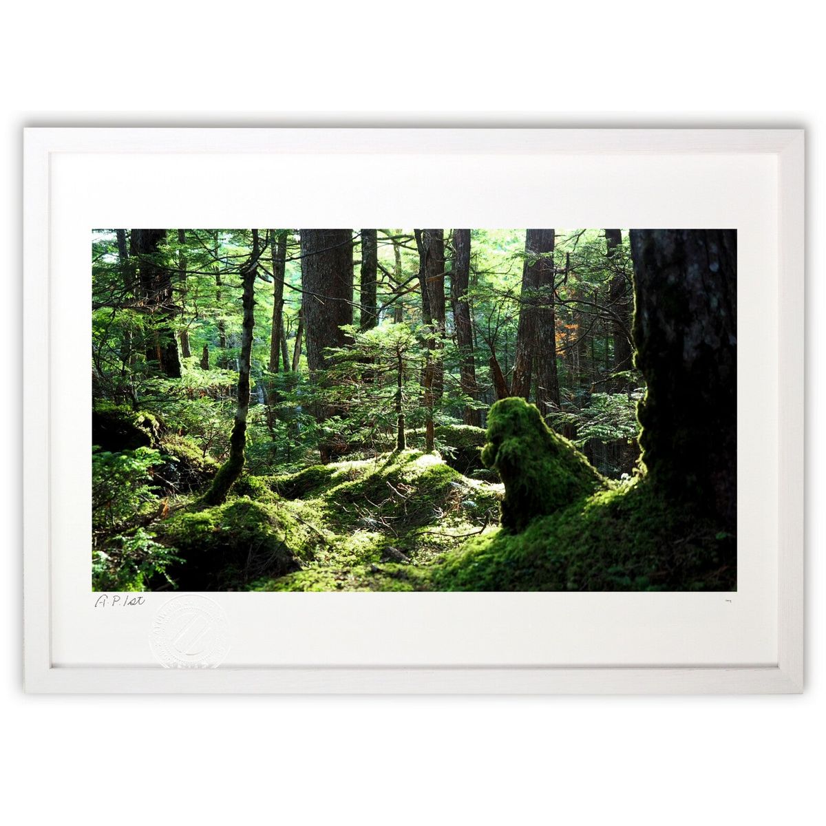 【スーパーSALE半額】版画 森のステージ (hi69ing)インテリア 壁掛け 額入り 風景画 ポスター アート リビング 玄関に飾る 風水 プレゼント モダ...