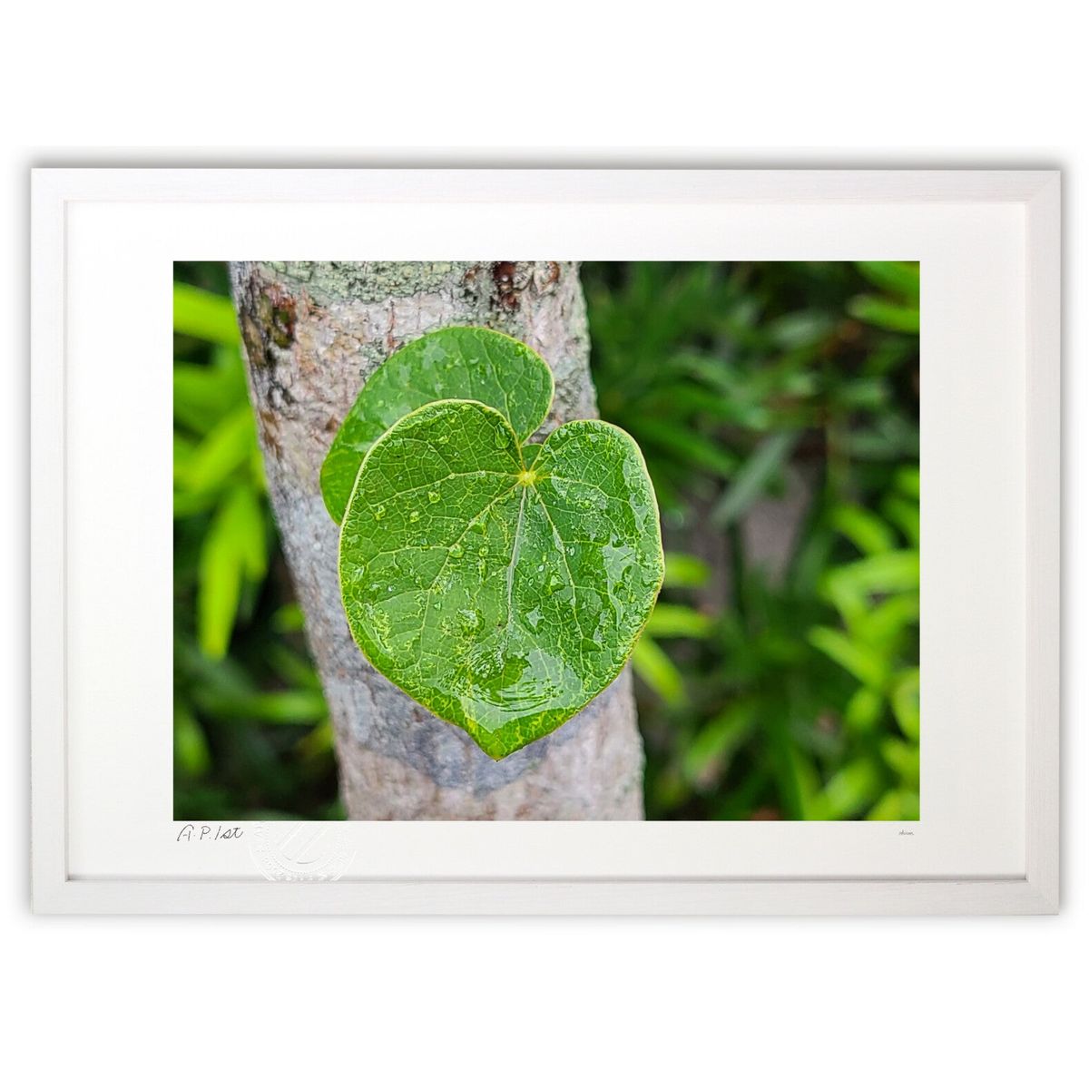 ڥѡSALEȾۡۡںȤκ۽ᤦդäѤϡϡȷ夬ˡڤƤդäѤ򸫤ȡϡȷ&