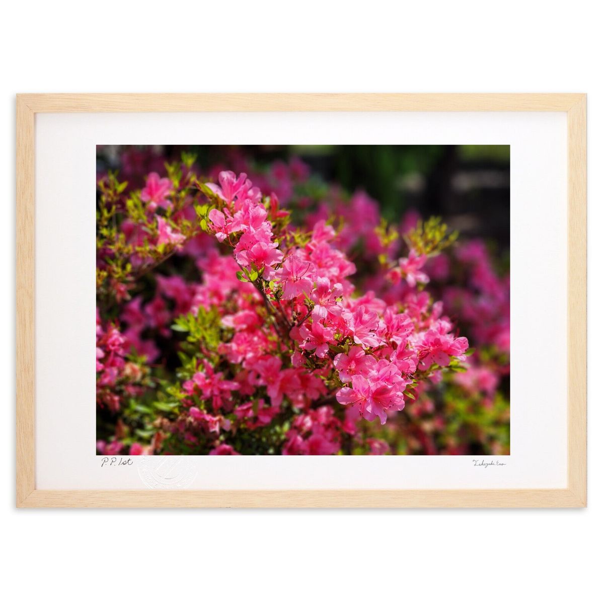 ڥѡSALEȾۡǲ ֤ʤĤ ()ƥꥢ ɳݤ  ʲ ݥ  ӥ ؤ˾  ץ쥼 ...