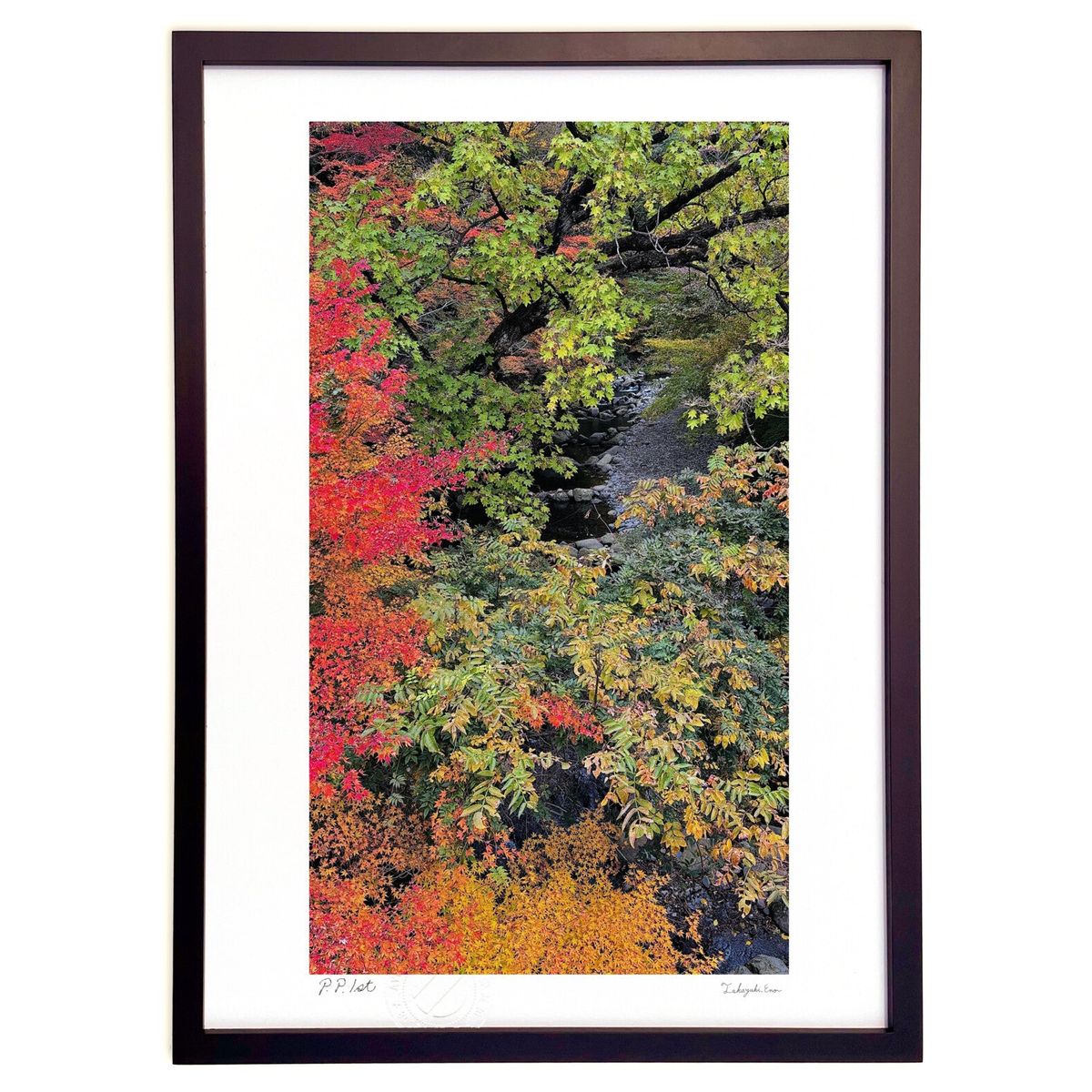 ڥѡSALEȾۡǲ ӽξ2 (mitan)ƥꥢ ɳݤ  ʲ ݥ  ӥ ؤ˾  ץ쥼  ...