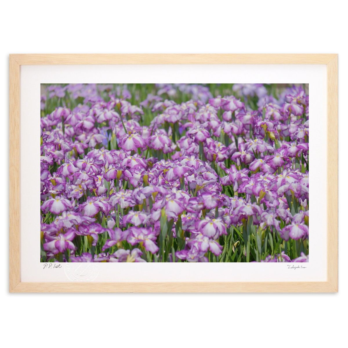 ڥѡSALEȾۡǲ ֤礦ֱ (ɼ)ƥꥢ ɳݤ  ʲ ݥ  ӥ ؤ˾  ץ쥼  ...