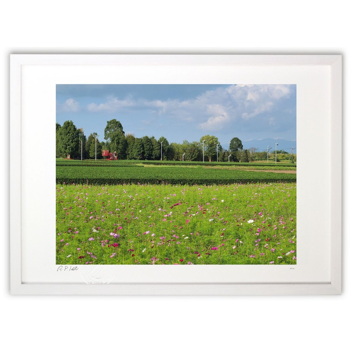 ڥѡSALEȾۡǲ ⥹ȪȤȪ (okiron)ƥꥢ ɳݤ  ʲ ݥ  ӥ ؤ˾  ץ쥼 ...