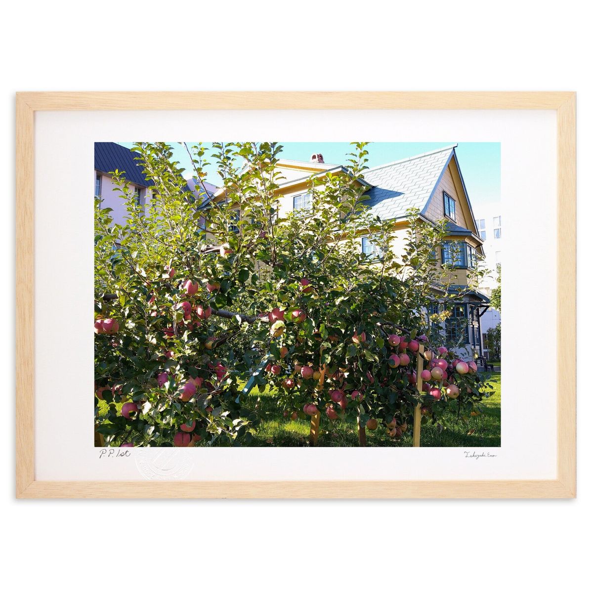 ڥѡSALEȾۡǲ μ¤ (ΡХ˥)ƥꥢ ɳݤ  ʲ ݥ  ӥ ؤ˾  ץ쥼  ...