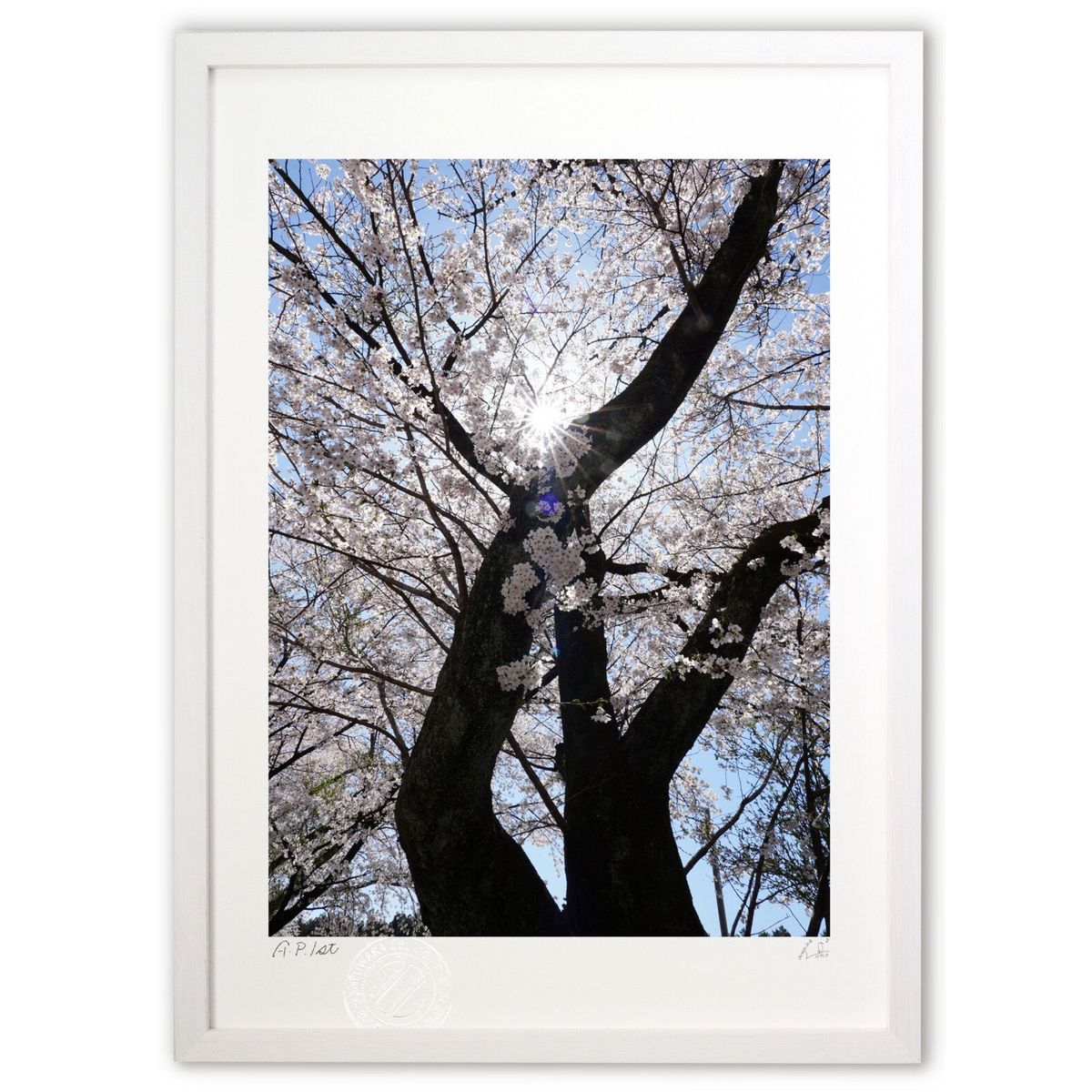 ڥѡSALEȾۡǲ  (ocarinanono)ƥꥢ ɳݤ  ʲ ݥ  ӥ ؤ˾  ץ쥼 ...