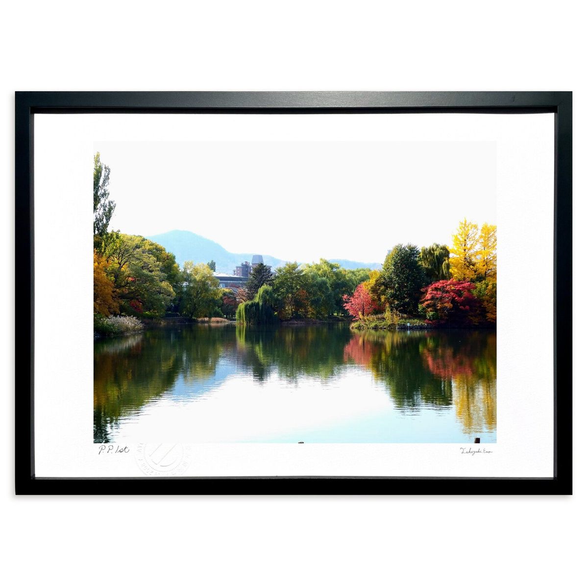 ڥѡSALEȾۡǲ դ (ΡХ˥)ƥꥢ ɳݤ  ʲ ݥ  ӥ ؤ˾  ץ쥼  ...