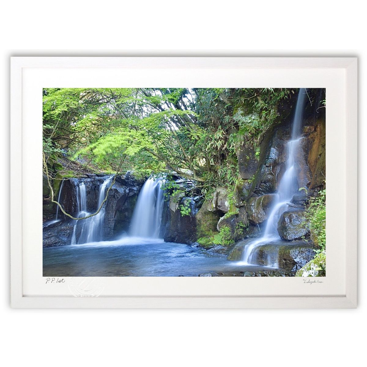 ڥѡSALEȾۡǲ 3Ĥ (mitan)ƥꥢ ɳݤ  ʲ ݥ  ӥ ؤ˾  ץ쥼  ...