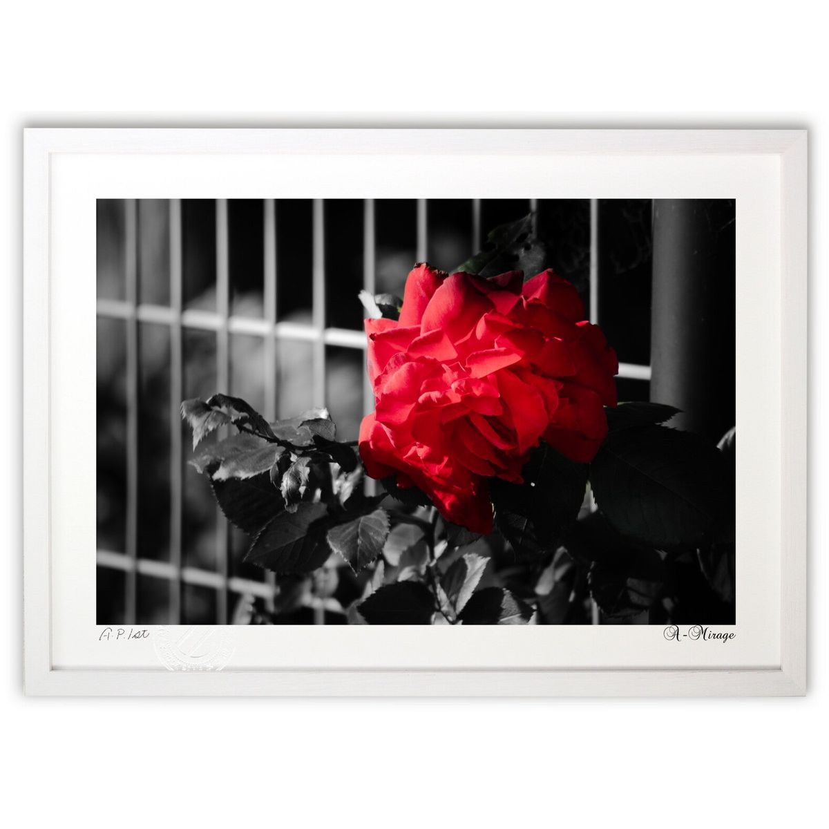 【スーパーSALE半額】版画 Rouge et Noir (A-Mirage)