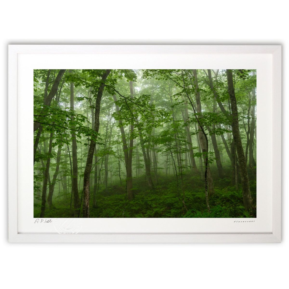 ڥѡSALEȾۡǲ пդο (bluewoods07)ƥꥢ ɳݤ  ʲ ݥ  ӥ ؤ˾  ץ쥼...