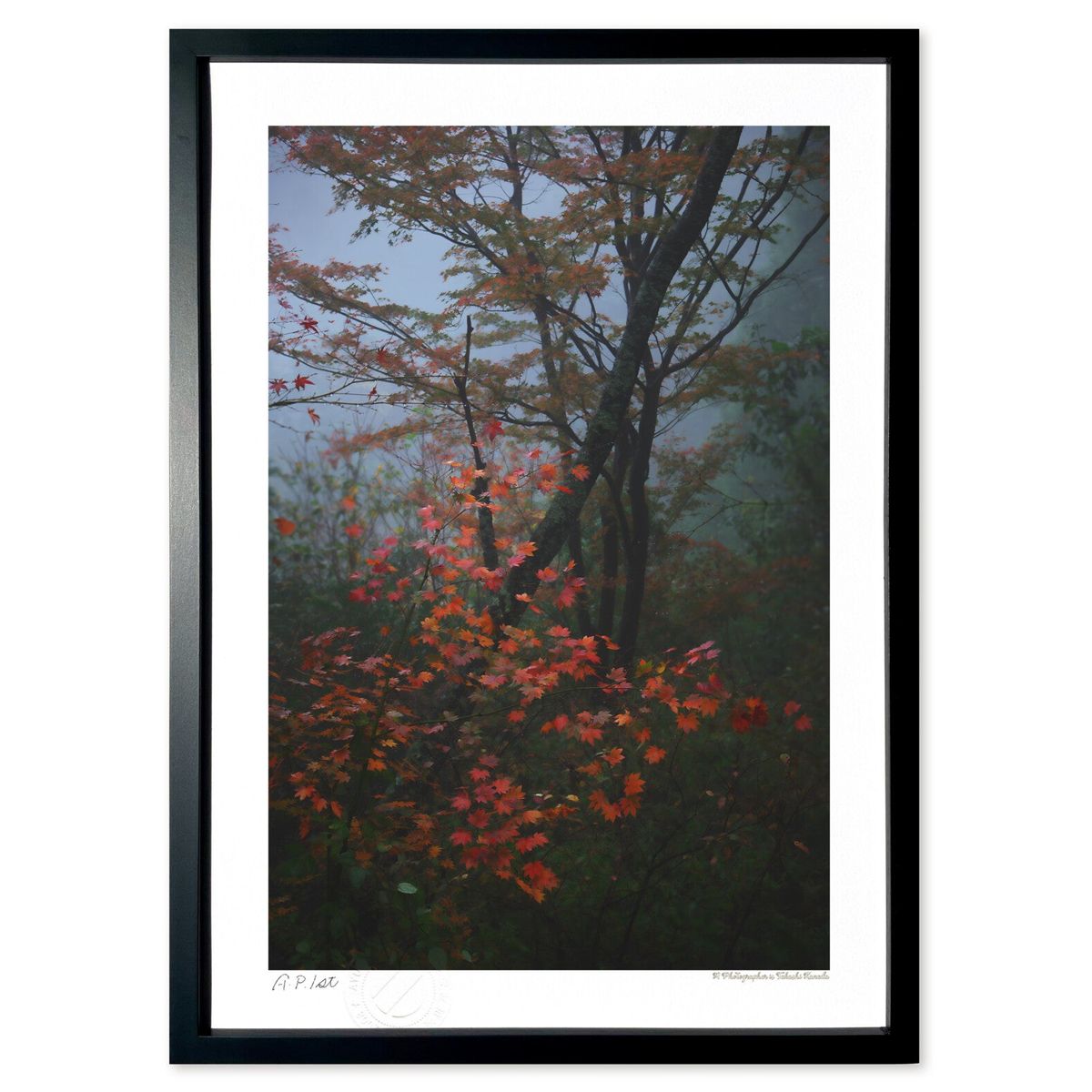 ڥѡSALEȾۡǲ ̸Ǩ (ramble)ƥꥢ ɳݤ  ʲ ݥ  ӥ ؤ˾  ץ쥼 ...