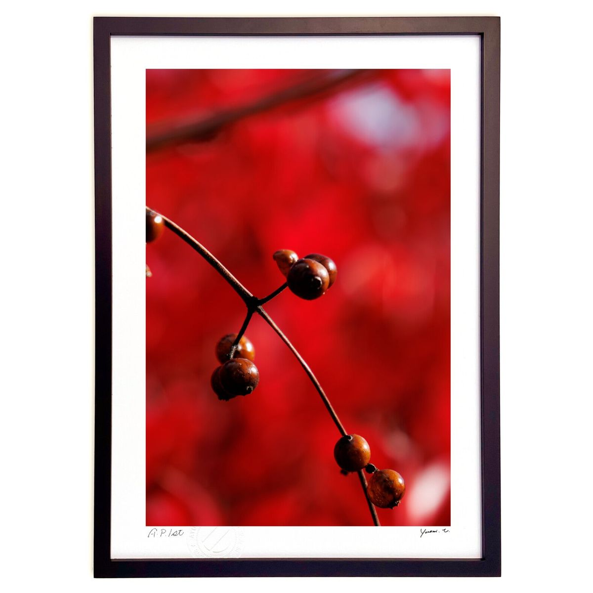 ڥѡSALEȾۡǲ Ǯ (yunomi)ƥꥢ ɳݤ  ʲ ݥ  ӥ ؤ˾  ץ쥼  ...