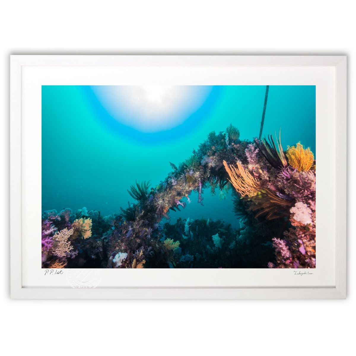 ڥѡSALEȾۡǲ եȥȤ餹ۼͤ (Little Dinosaur)