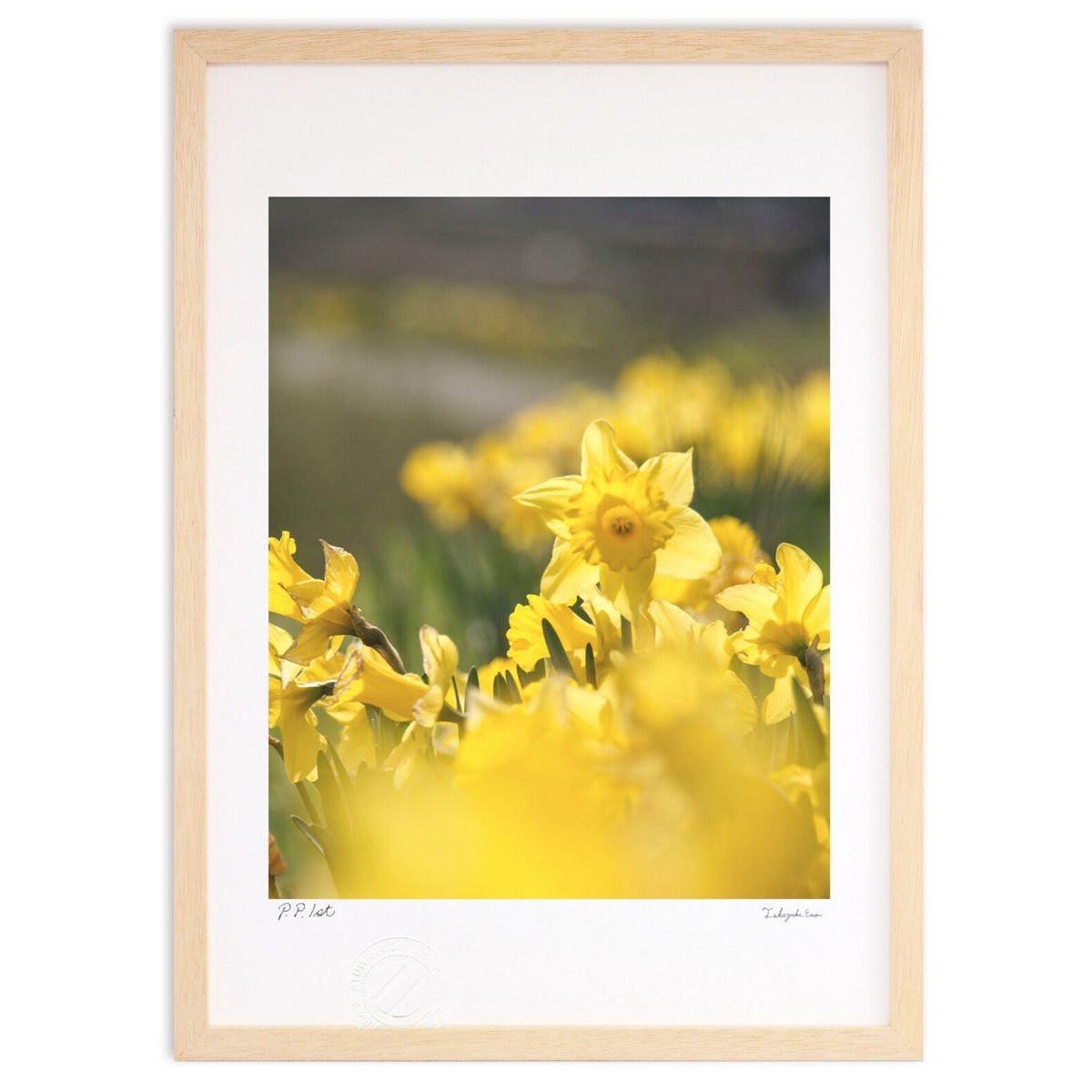 ڥѡSALEȾۡǲ äѤ˺餯 (Agura)ƥꥢ ɳݤ  ʲ ݥ  ӥ ؤ˾  ץ쥼 ...