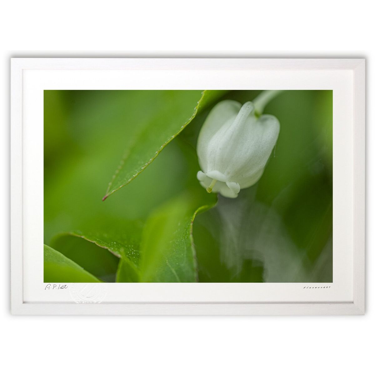 【スーパーSALE半額】版画 小さなツツジの世界 (bluewoods07)