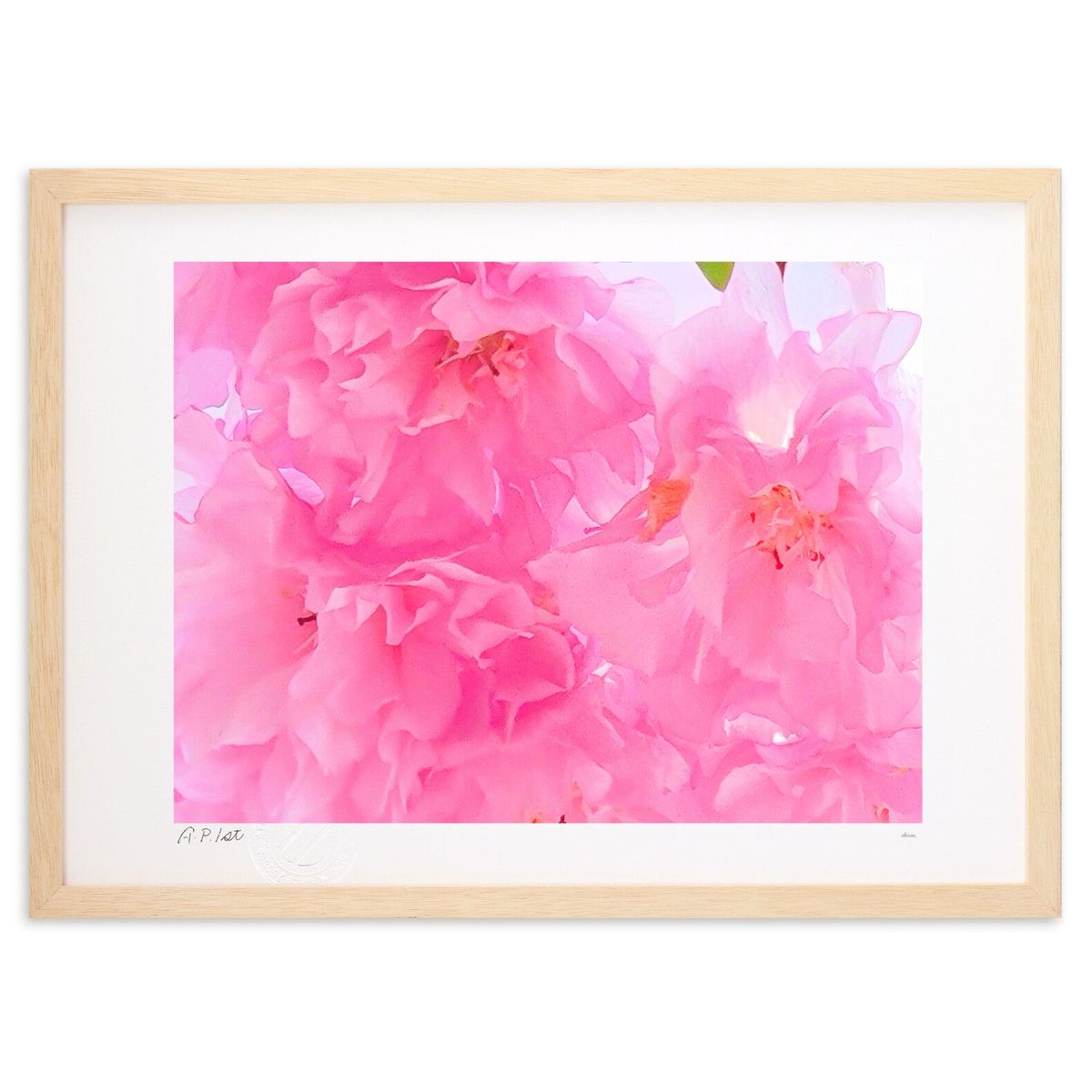 ڥѡSALEȾۡǲ Ȭź (okiron)ƥꥢ ɳݤ  ʲ ݥ  ӥ ؤ˾  ץ쥼  ...