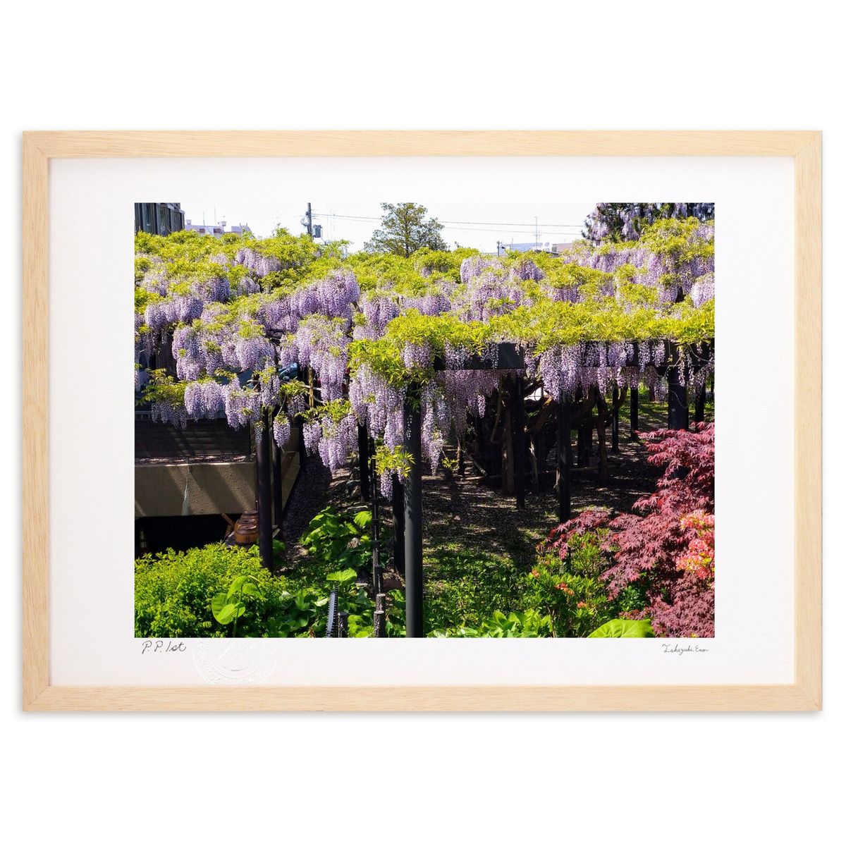 ڥѡSALEȾۡۡںȤκʿŷϤˤƣβ֤Ǥƣηʿ&