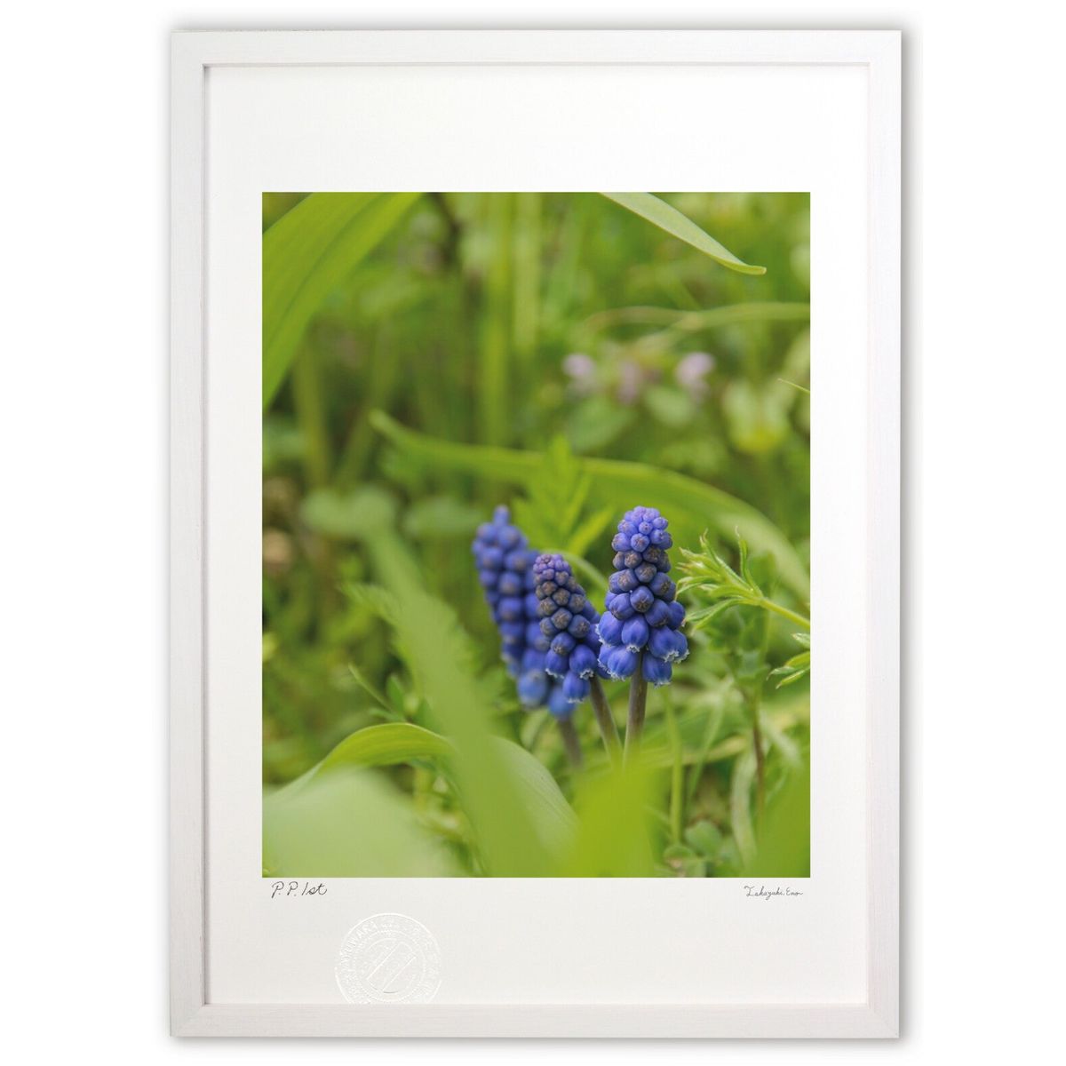 【スーパーSALE半額】版画 青紫の主役 (Agura)インテリア 壁掛け 額入り 風景画 ポスター アート リビング 玄関に飾る 風水 プレゼント モダン ア...