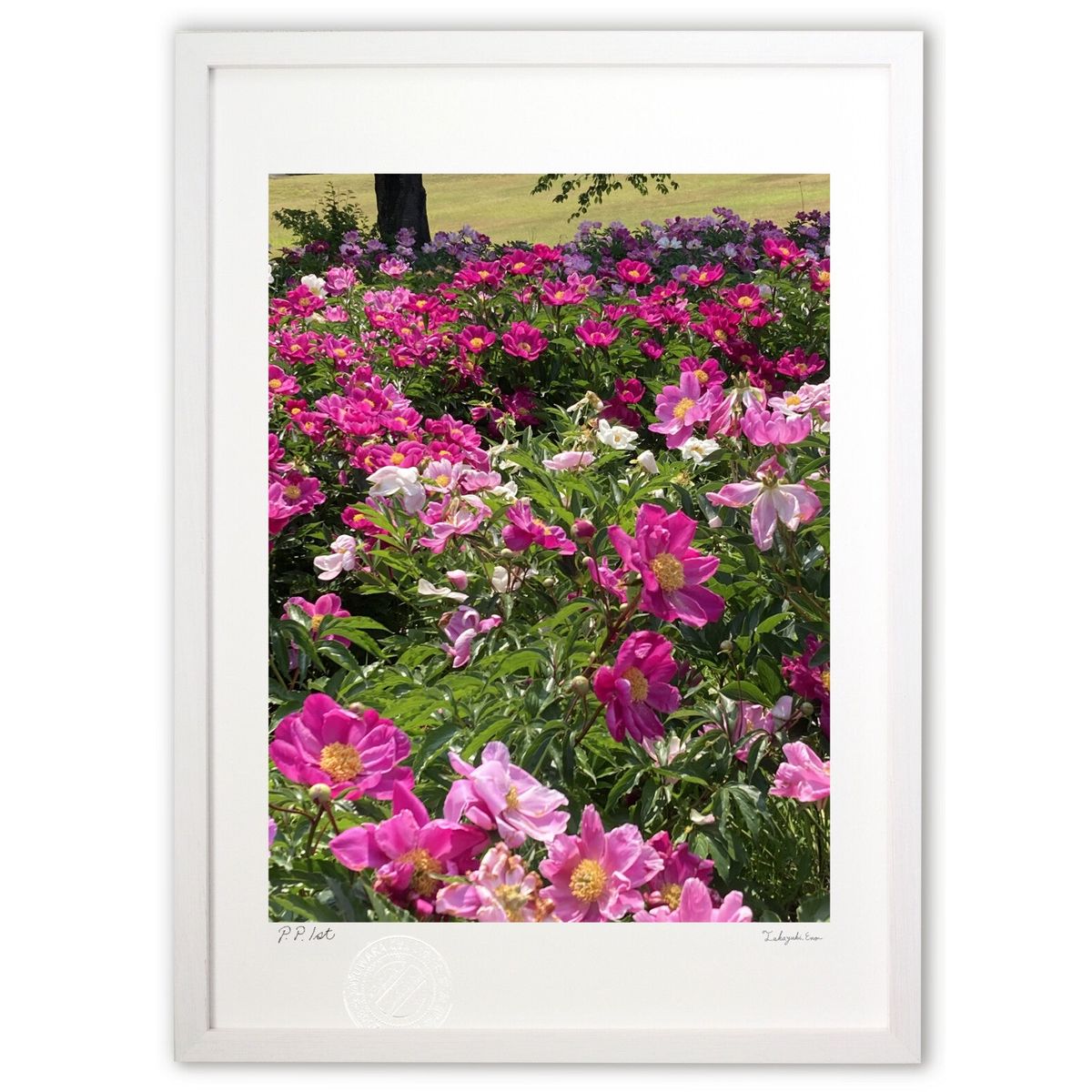 ڥѡSALEȾۡǲ  (ե)ƥꥢ ɳݤ  ʲ ݥ  ӥ ؤ˾  ץ쥼  ȥե졼...