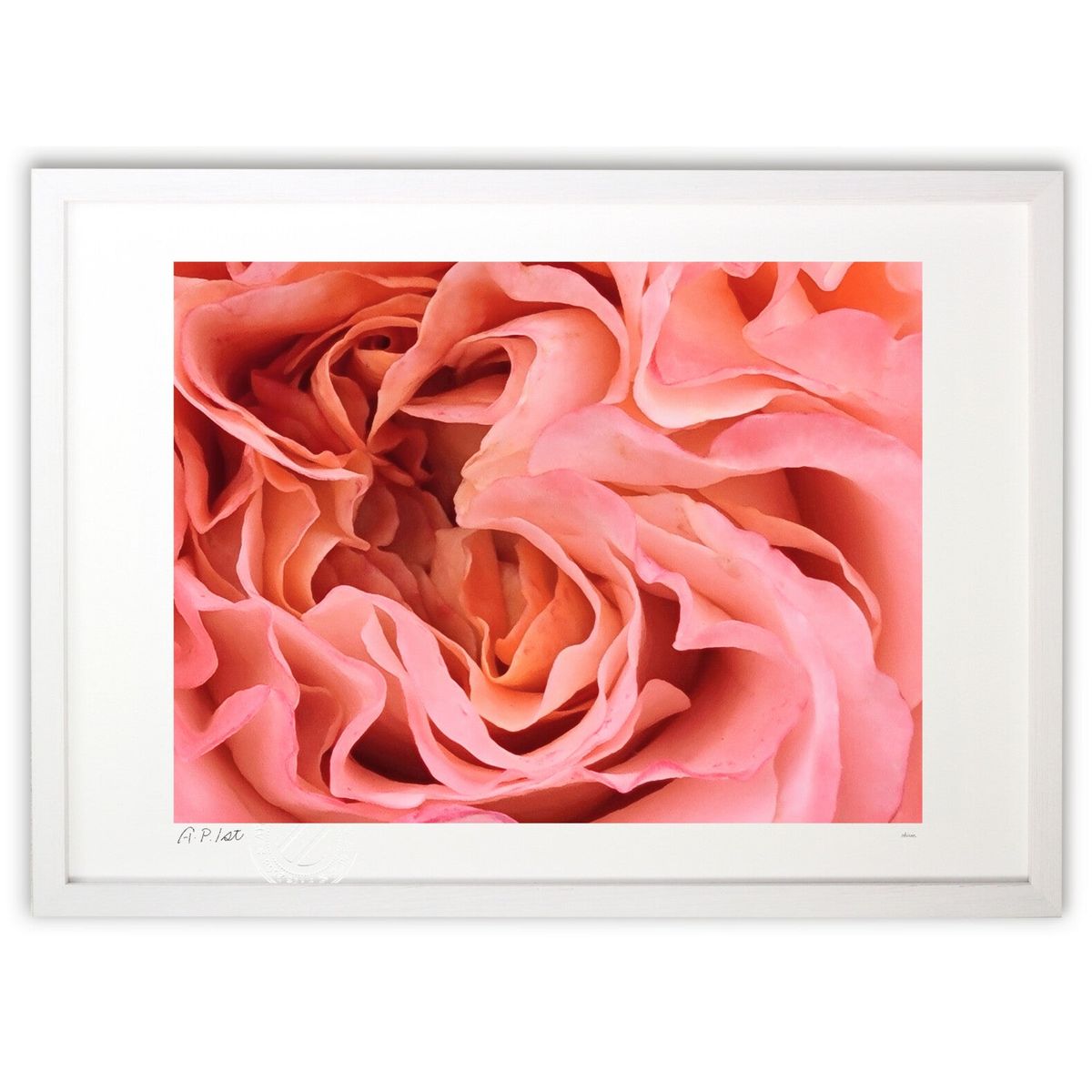 ڥѡSALEȾۡǲ  (okiron)ƥꥢ ɳݤ  ʲ ݥ  ӥ ؤ˾  ץ쥼  ...