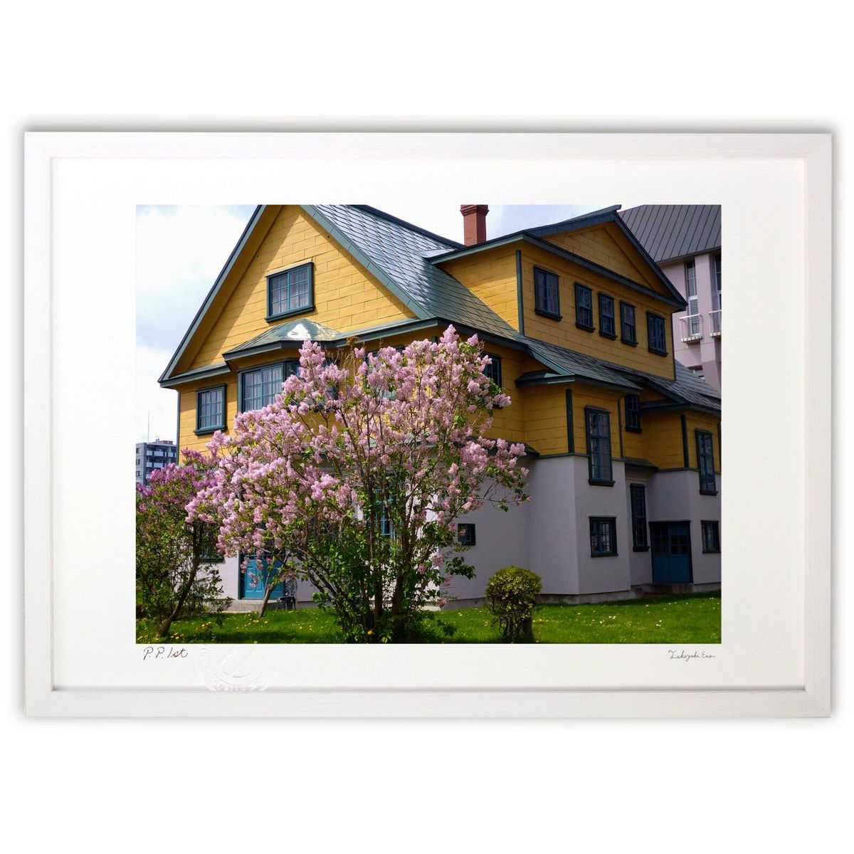 ڥѡSALEȾۡǲ ǲ衡饤åβ (ΡХ˥)ƥꥢ ɳݤ  ʲ ݥ  ӥ ؤ˾  ץ쥼...