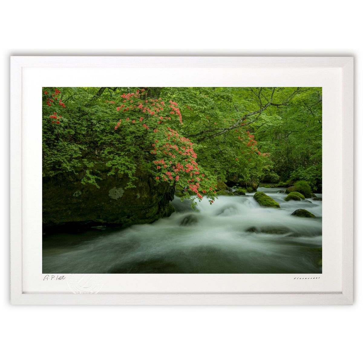 ڥѡSALEȾۡǲ ήλĤĤ (bluewoods07)