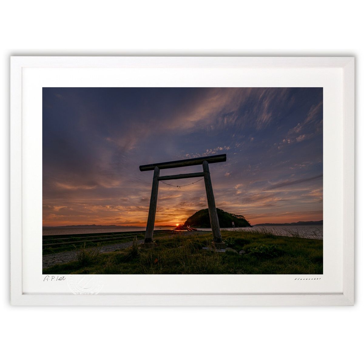 ڥѡSALEȾۡǲ ͼۤޤȾ (bluewoods07)