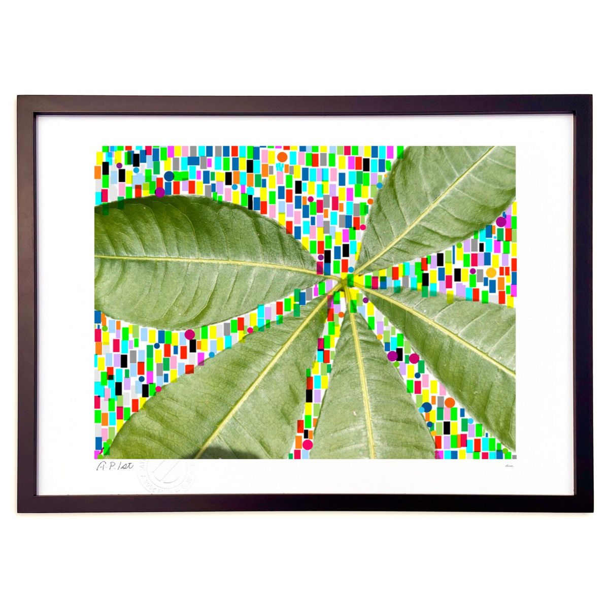 ڥѡSALEȾۡǲ ѥդäѡ (okiron)ƥꥢ ɳݤ  ʲ ݥ  ӥ ؤ˾  ץ쥼 ...