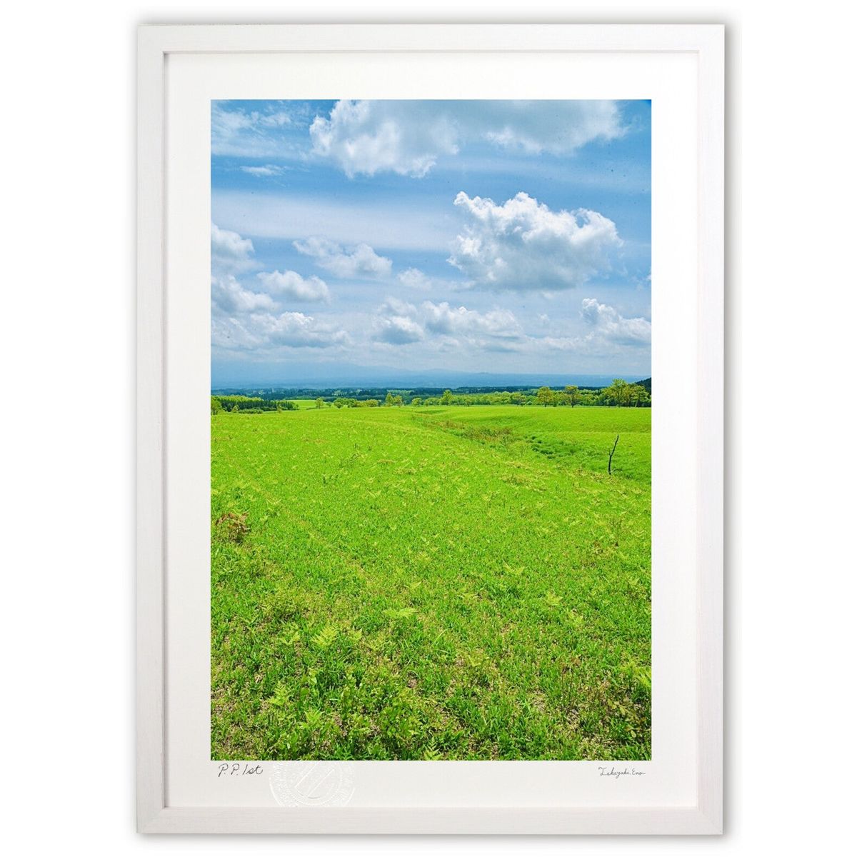 ڥѡSALEȾۡǲ  (mitan)ƥꥢ ɳݤ  ʲ ݥ  ӥ ؤ˾  ץ쥼  ȥ...