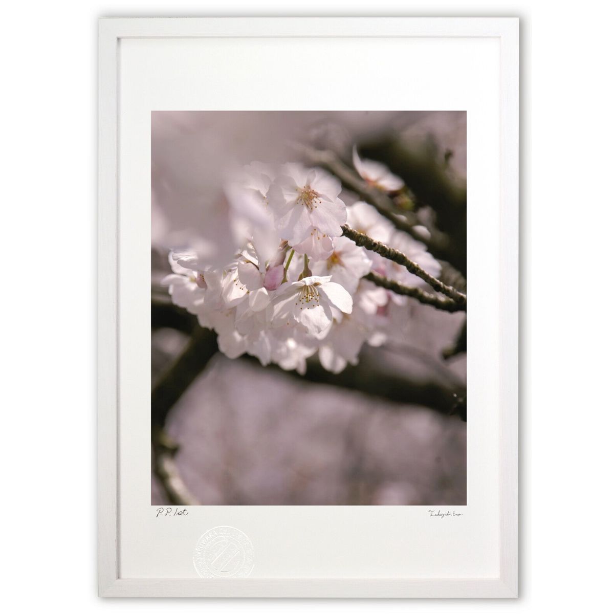 【スーパーSALE半額】版画 桜と陰と木漏れ日と (Agura)インテリア 壁掛け 額入り 風景画 ポスター アート リビング 玄関に飾る 風水 プレゼント モ...